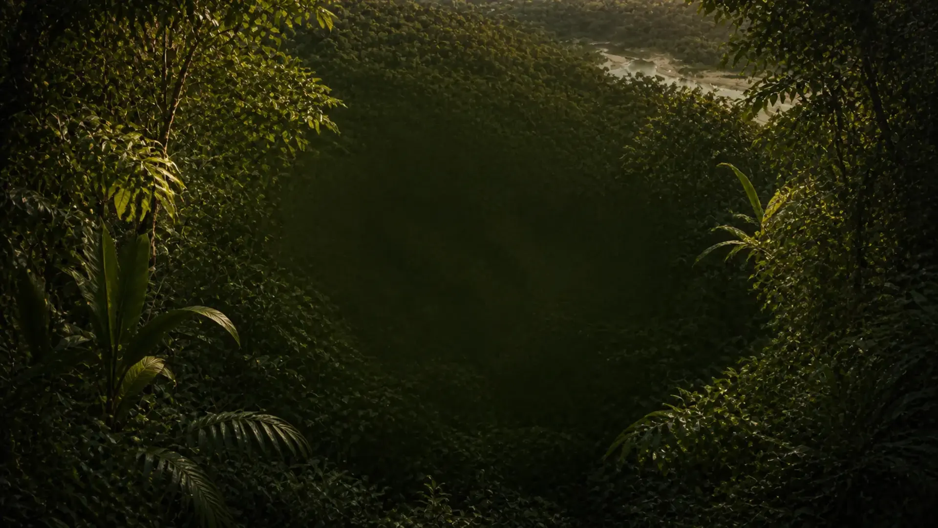 Floresta amazônica ao fim do dia, com o rio ao fundo
